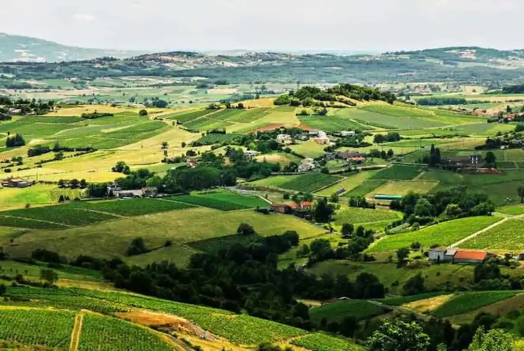Beaujolais-France