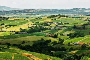 Beaujolais-France